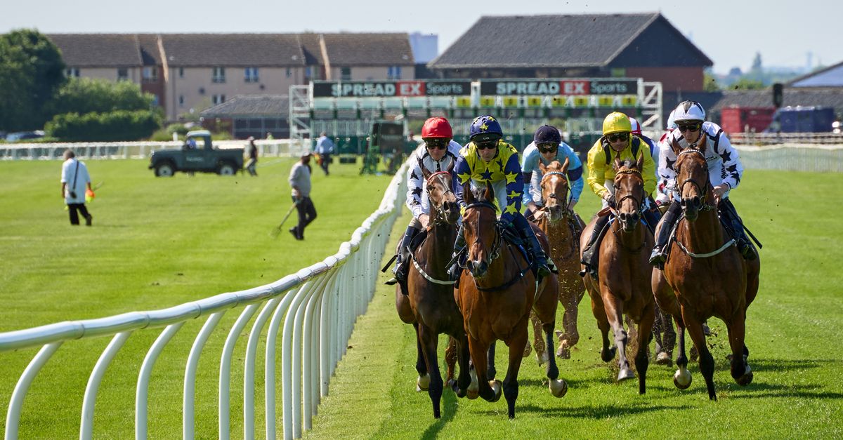 Boy band singer trades microphone for horse racing