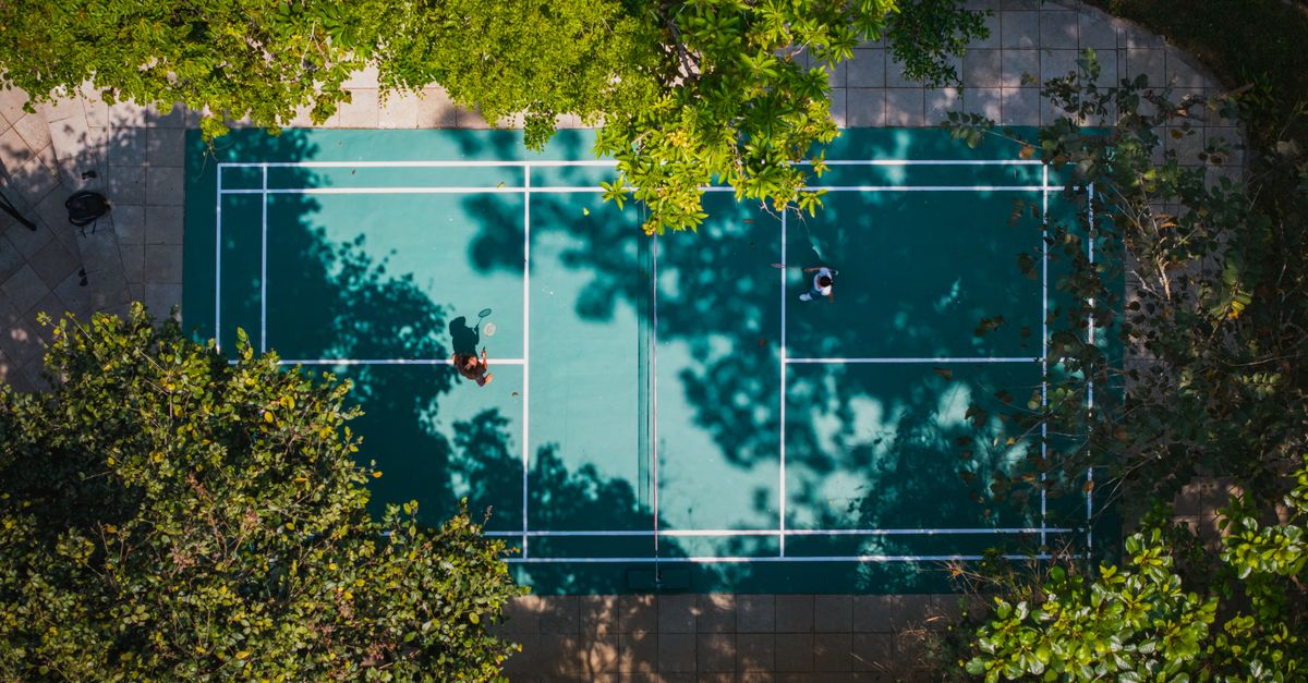 Monkeys invade Delhi's biggest badminton championship venue