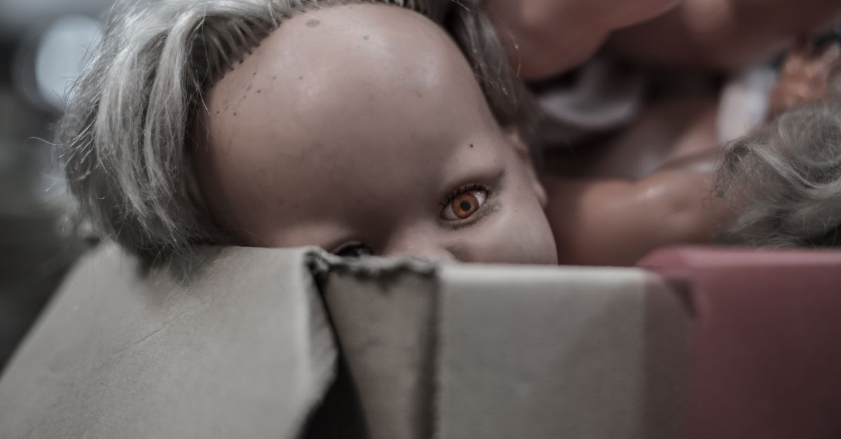 Police find 'dead body' in suitcase, discover it's a doll