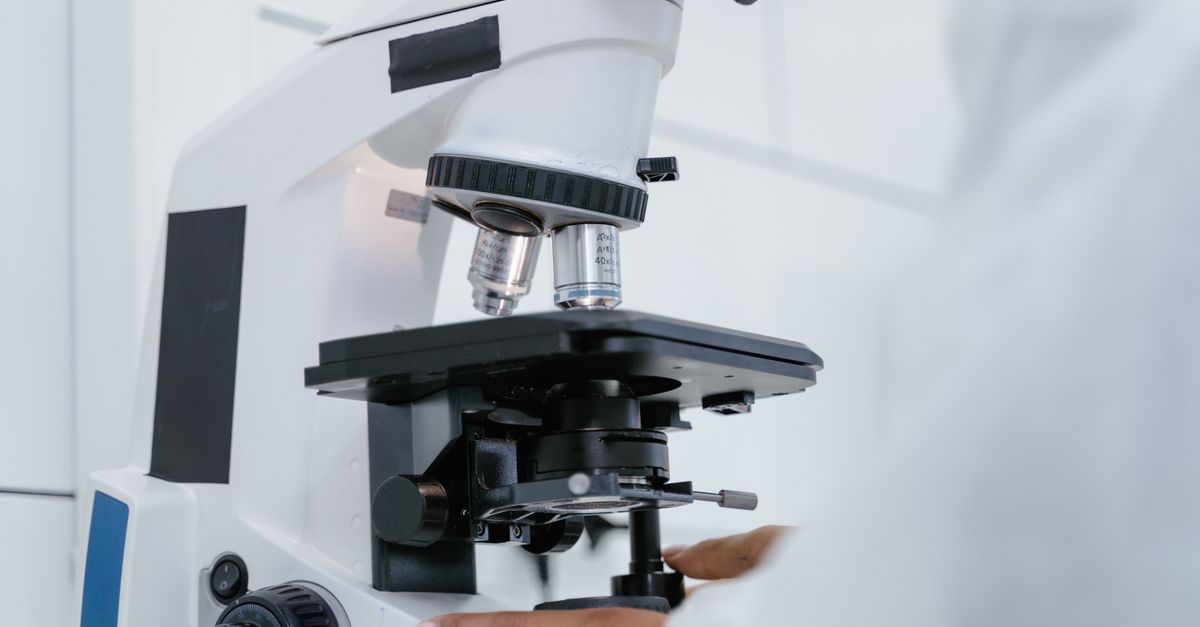 Scientists film tiny breathing parts to win microscope video contest